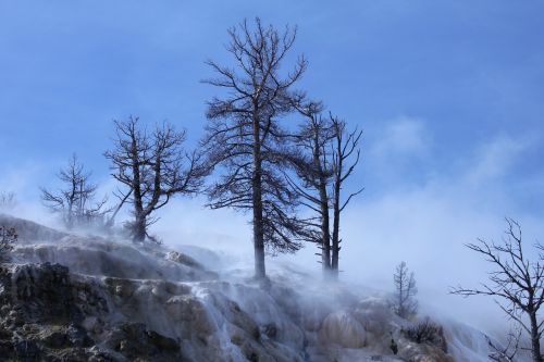 travel yellowstone nature