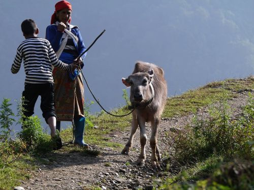 travel nepal hiking