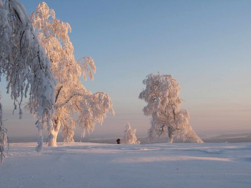 travel nature sunset