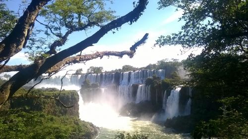 travel waterfall tree
