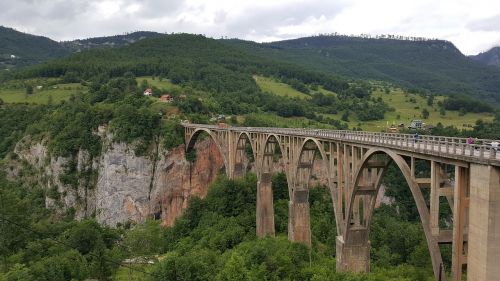 travel nature bridge