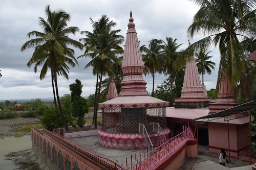 travel  palm  tourism