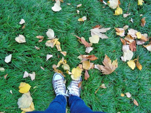 feet autumn lawn