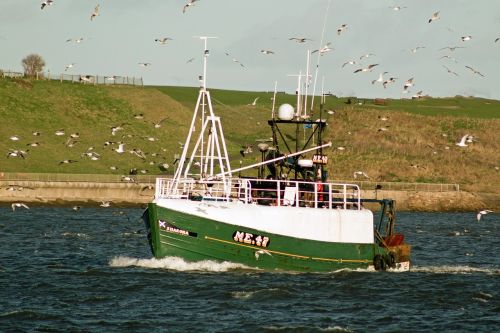 trawlers fishing tynemouth