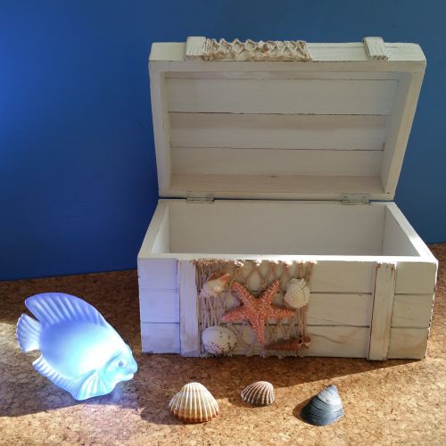 treasure chest maritime fish
