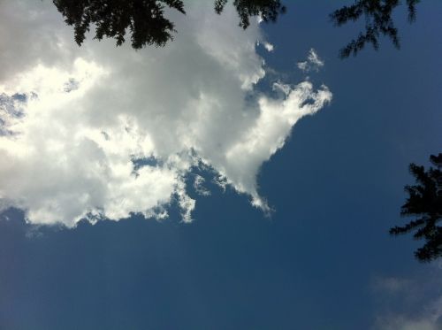 tree clouds trees