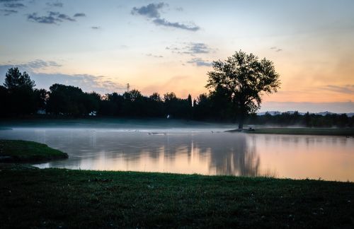 tree reflections park