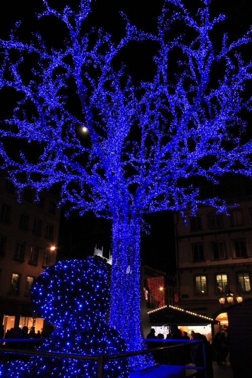 tree led blue