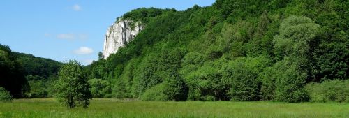 tree rock poland