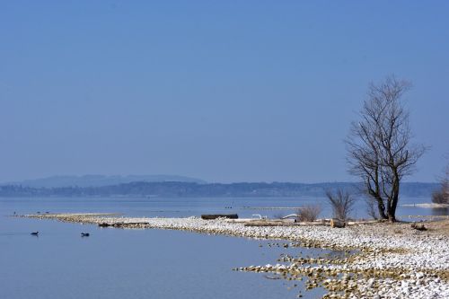 tree bank beach