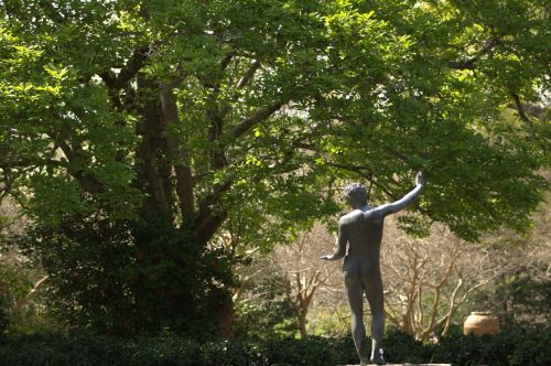 tree garden statue