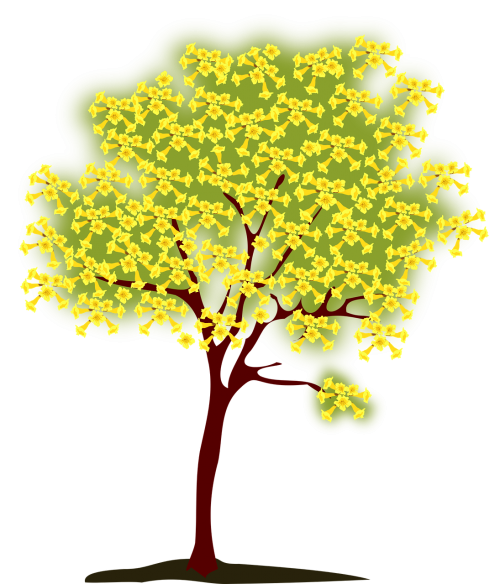 tree blossoming yellow