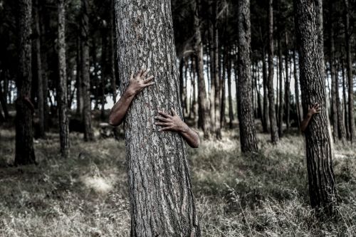 hiding tree hands