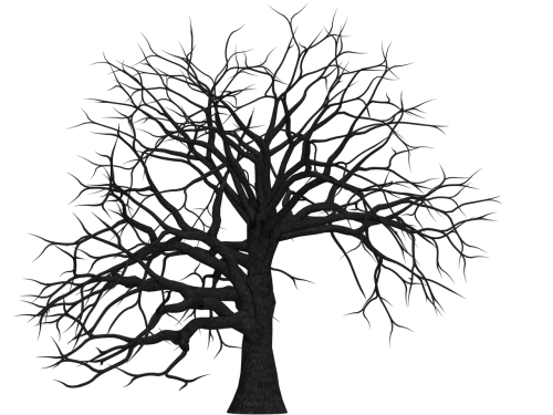 tree digital art isolated