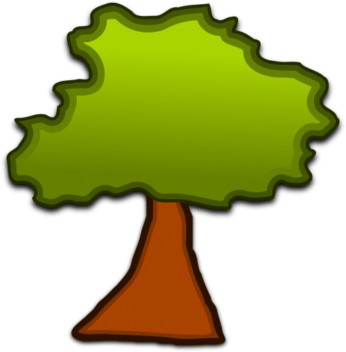tree plant trunk