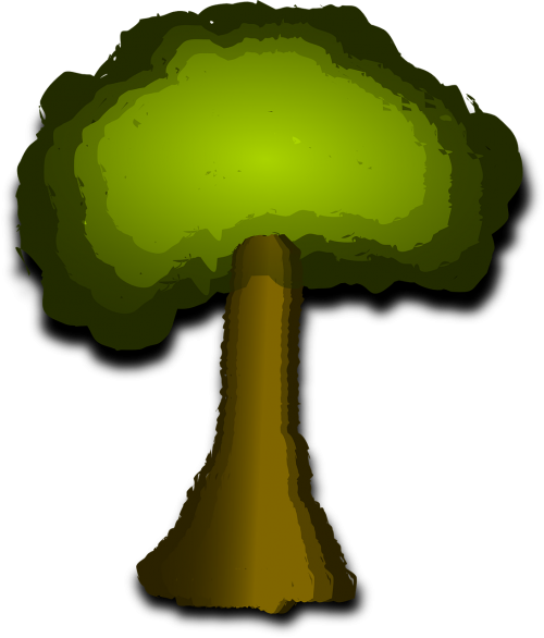 tree plant trunk