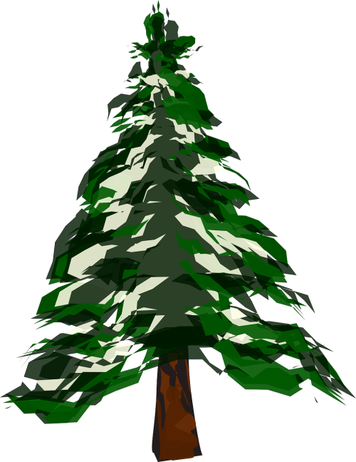tree fir christmas