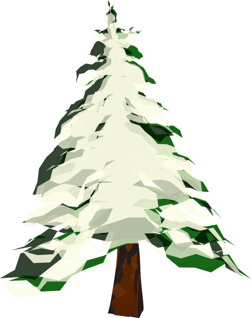 tree fir snow