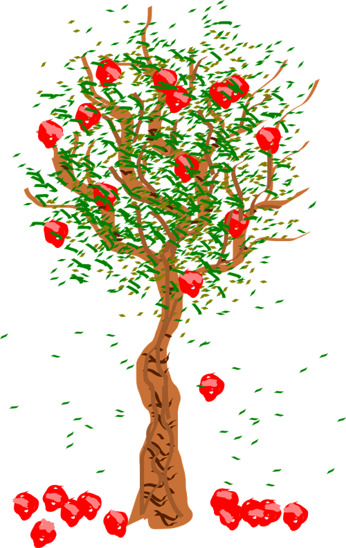 tree apple falling