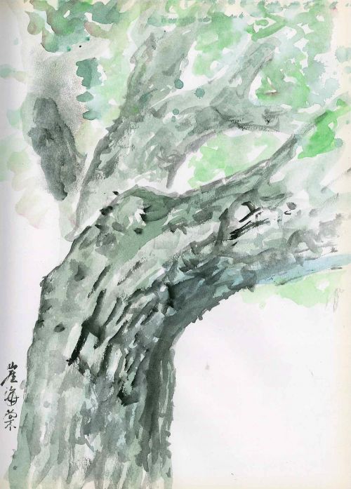 tree sketch watercolor