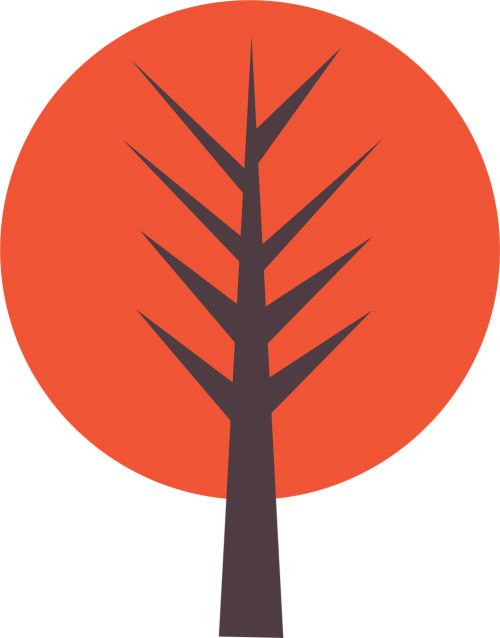 tree orange nature