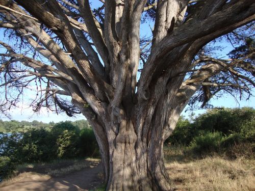 brittany morbihan nature