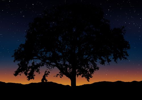 tree silhouette landscape