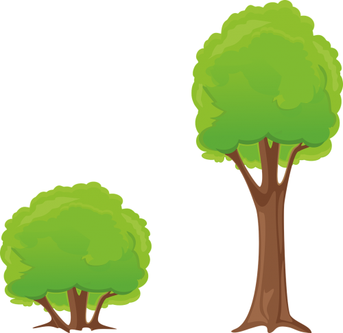 tree bush clipart