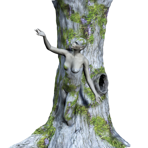 tree wood woman