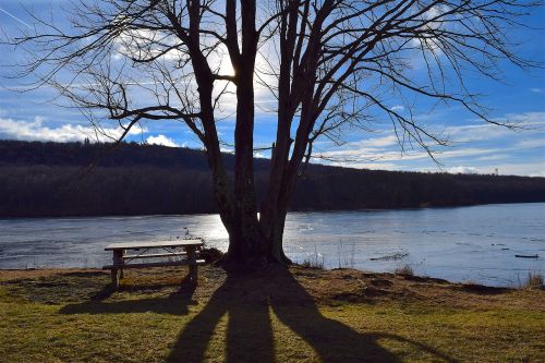 tree shadow lake