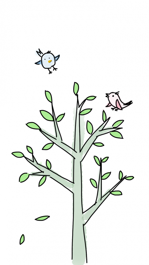 tree bird spring