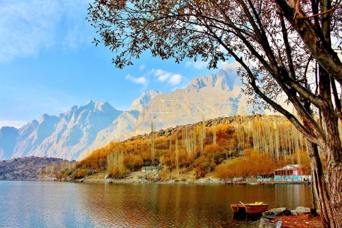 tree lake pakistan