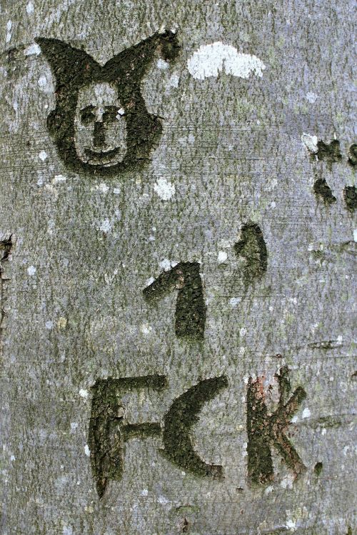tree carved name