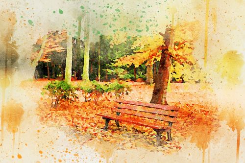 tree park bench