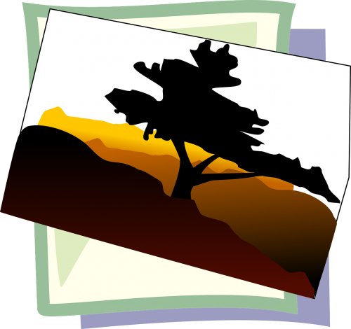 tree silhouette desert