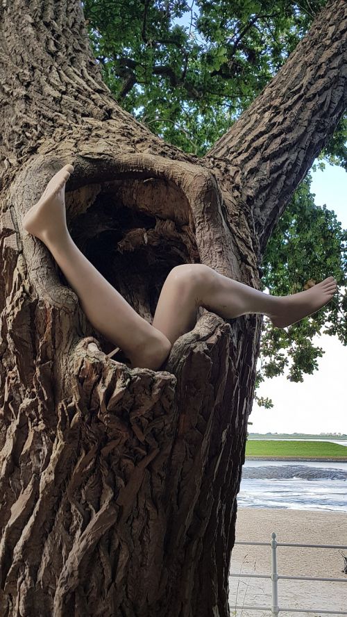 tree legs woman