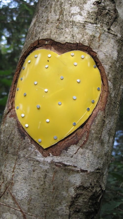 tree heart nature