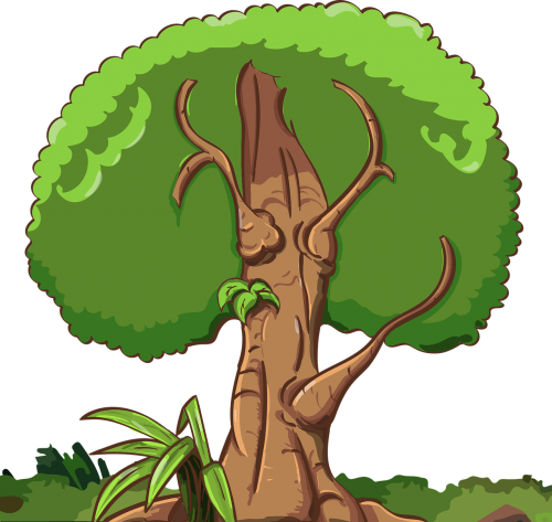 tree grass trunk