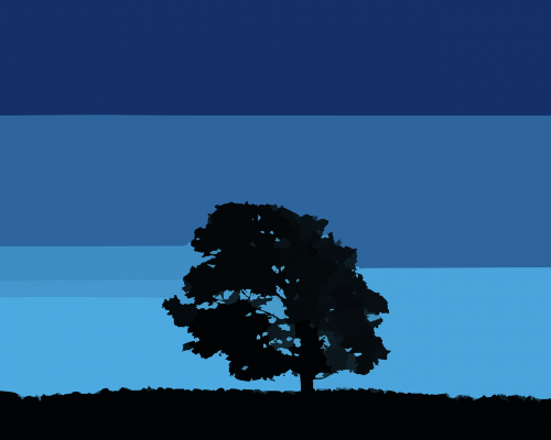 tree silhouette sky