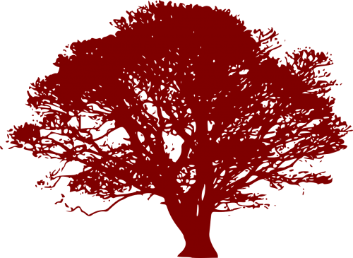 tree red drawing