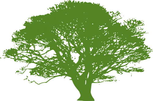 tree green silhouette