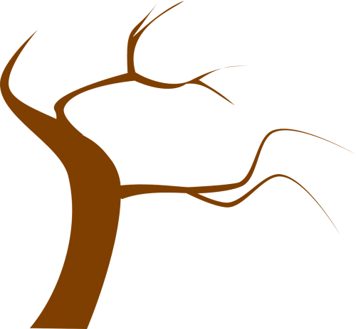tree brown branch