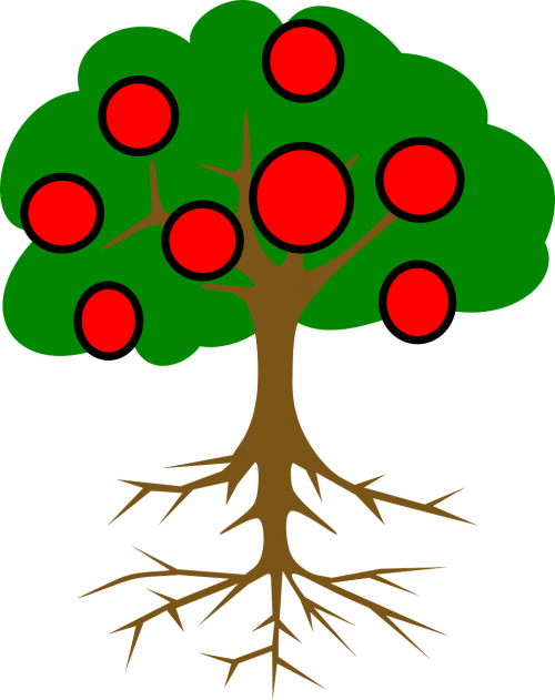 tree apple roots