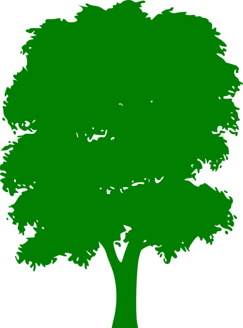 tree green plain