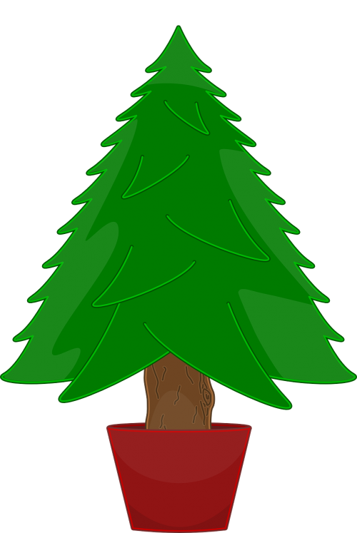 tree christmas green