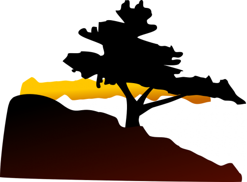 tree hill sunset