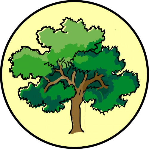 tree oak circle