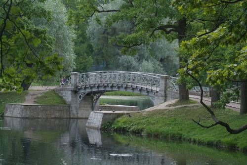 tree bridge water