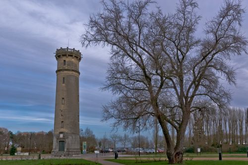 tree outdoor tower