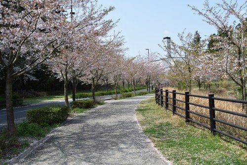 tree  station  landscape